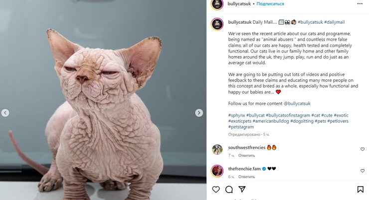 сайт булликот