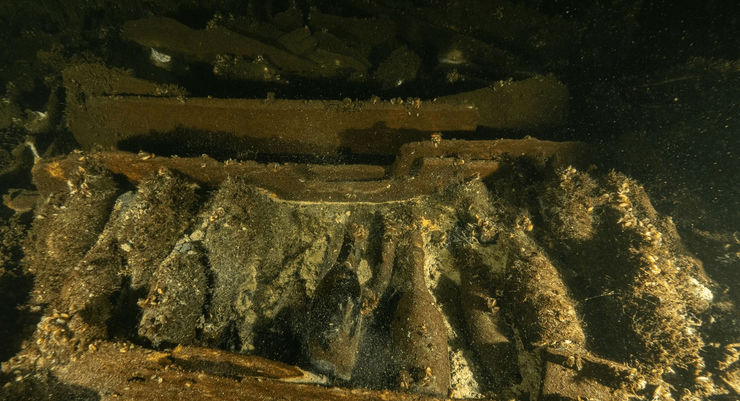 Шампанское, затонувший корабль, редкие сокровища, находка, находка на дне моря, группа дайверов, торговое судно