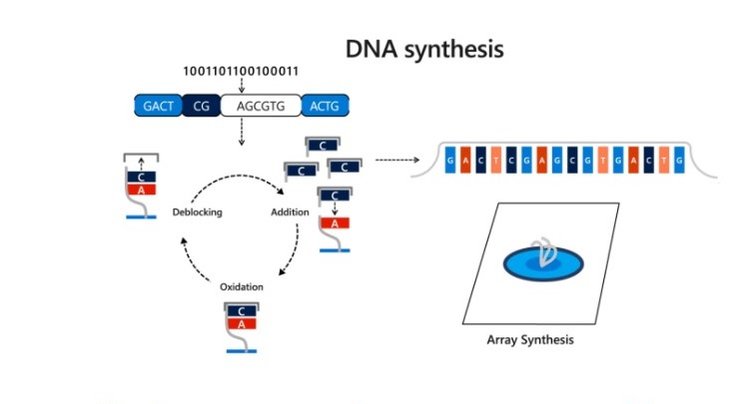 схема 2 молекулярного контроллера Microsoft Research