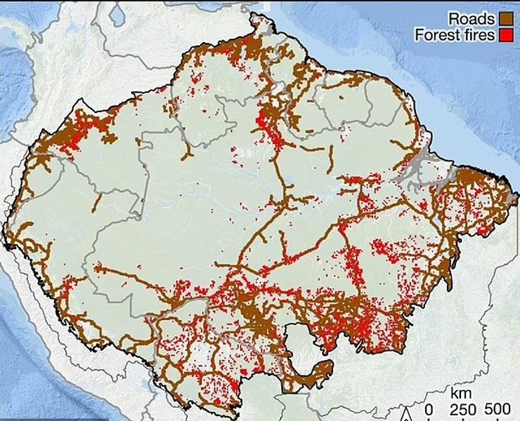 амазонка лес дороги