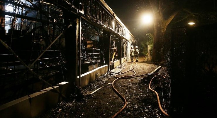 зоопарк, германия, обезьяны, пожар