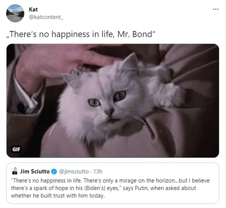 джеймс бонд, лиходій, кіт, Ернст Ставро Блофельд