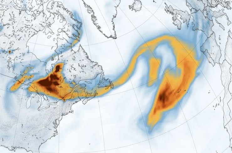 дым лесной пожар