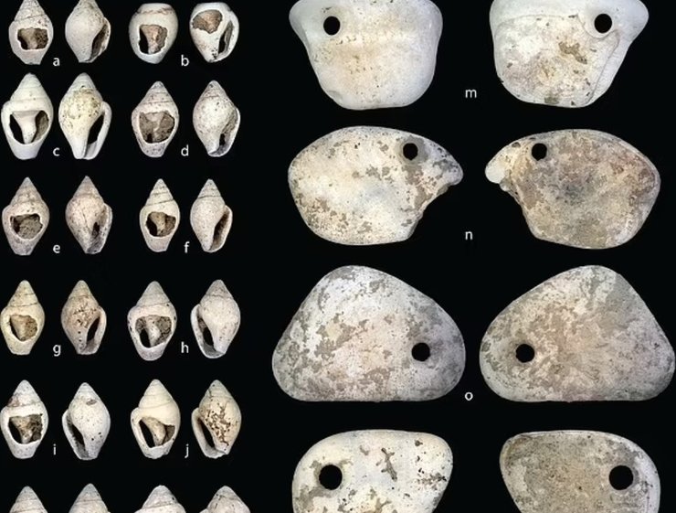 Украшения, захоронение, древнее захоронение, ракушки