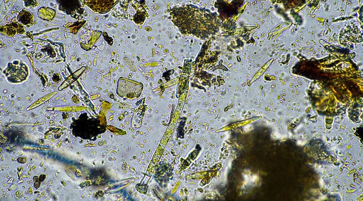 надра, Земля, шкіра Землі