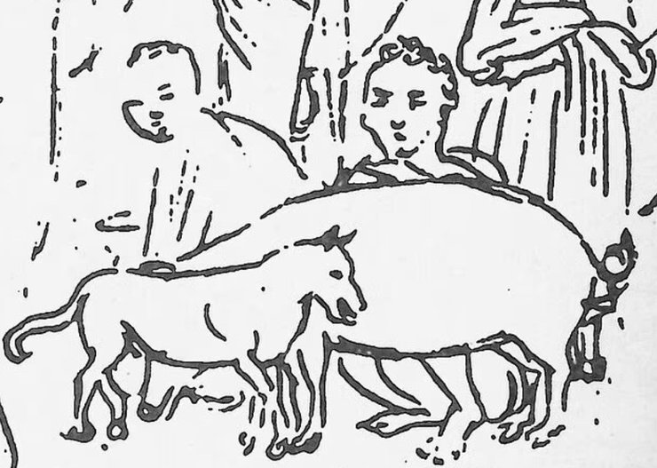 Гавайская собака, породы собак, исчезнувшие породы собак, редкие породы собак, собаки, домашние собаки, порода пои