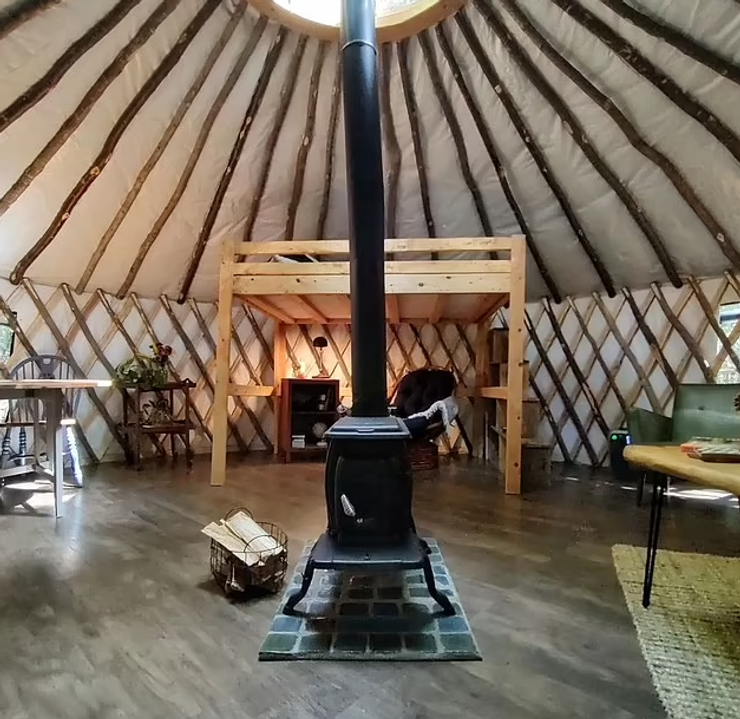 Побудували юрту посеред лісу, брати Джейсон та Метт Дафф, жило, нерухомість, США, туризм, екологічні проєкти, фото