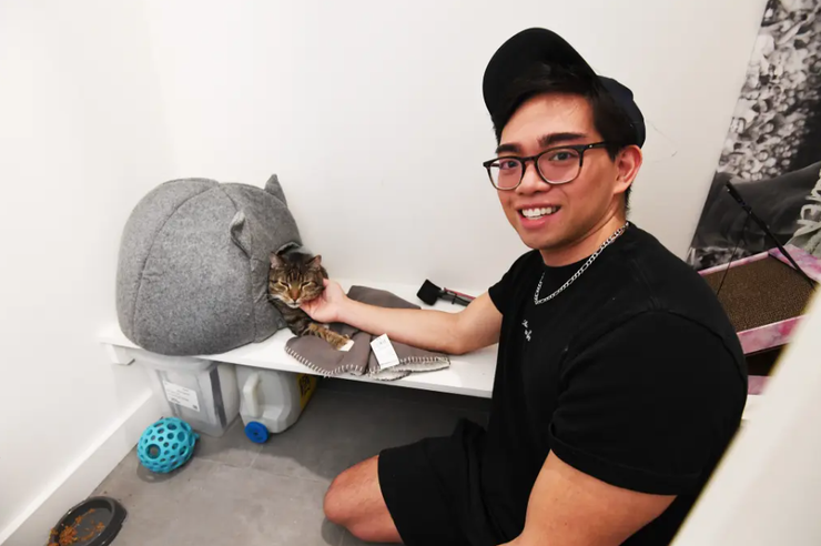 Кішку на 5 тижнів забули в гастрономі, як вона вижила, тварини, домашні улюбленці, фото, США