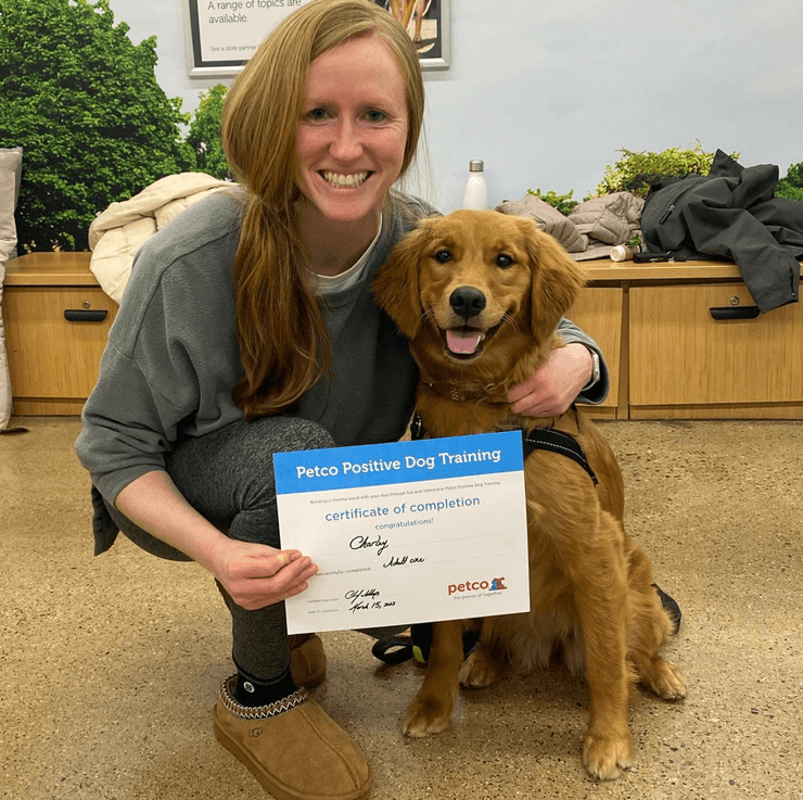 Чарлі Каннінгем Джонс, собака, золотий ретривер, курси для собак