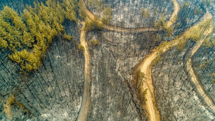 пожары, турция
