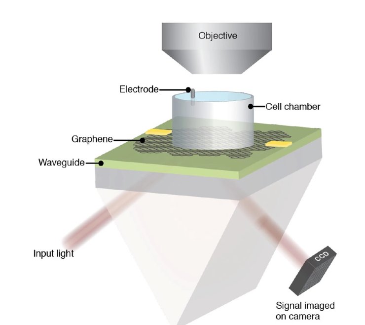 графен, схема, камера