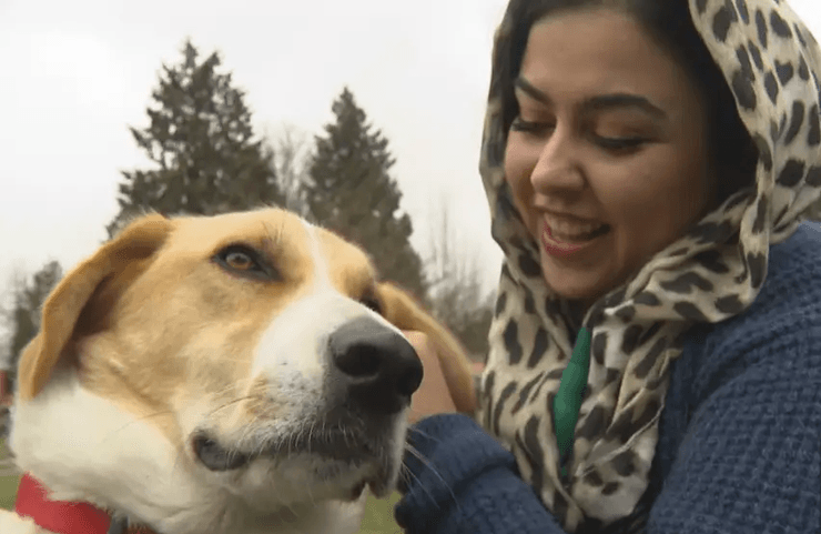 собака, собака-поводырь, женщина, нашли по запаху, отыскали пропавшую женщину,