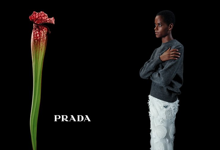 Летиция Райт, Prada