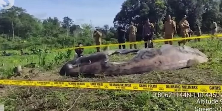 обломки китайской ракеты