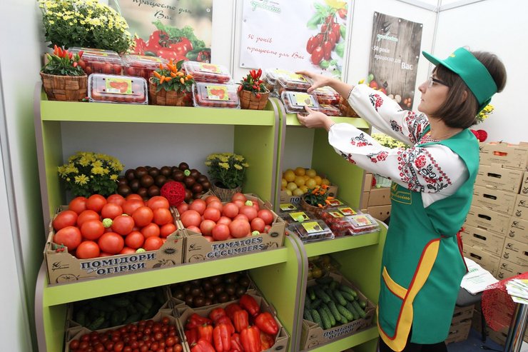 урожай 2024, урожай в украине, жара и урожай, аномальная жара, Урожай овощей 2024, урожай зерновых, цены на овощи, цены на огурцы, картофель 2024, урожай картофеля, урожай картофеля