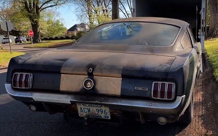 Shelby GT-350H, Ford Mustang Shelby GT-350H, Ford Mustang, Shelby GT-350H 1966