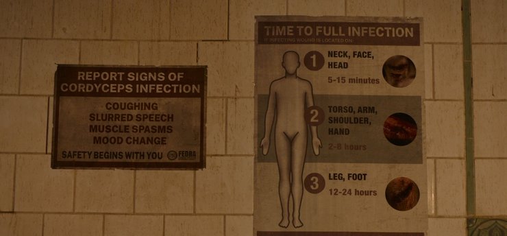 кордицепс, The Last of Us, одни из нас