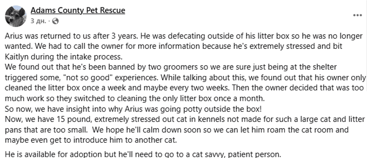 Допис притулку про котика Аріуса