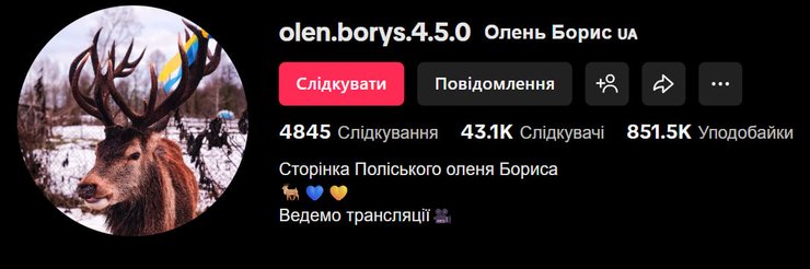 олень Борис тікток канал