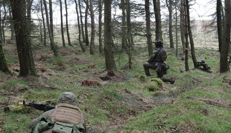 шведские инструкторы для ссу