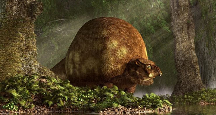 броненосец, вымершие виды