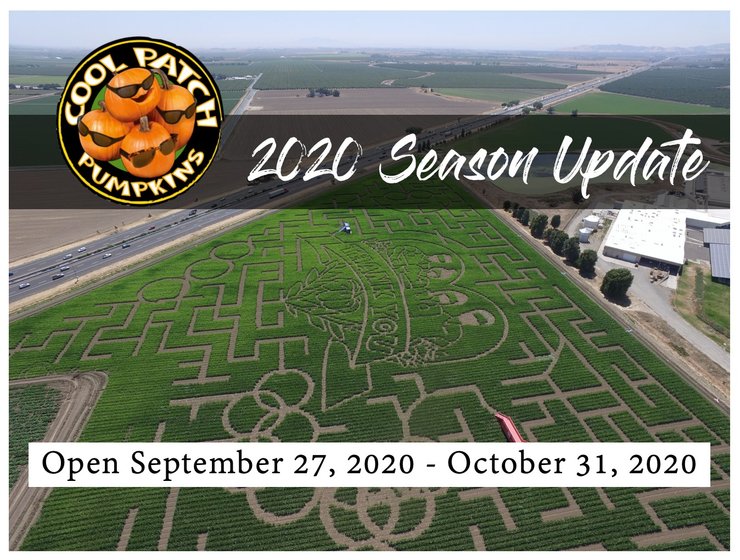 лабиринт, кукуруза, диксон, калифорния