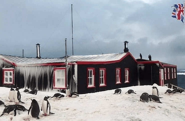Поштове відділення в Антарктиді, робота, робота в Антарктиді, вакансія, віддалена робота, найвіддаленіша робота, підрахунок пінгвінів,