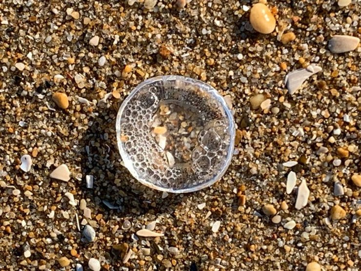 Медуза Хрустальное желе