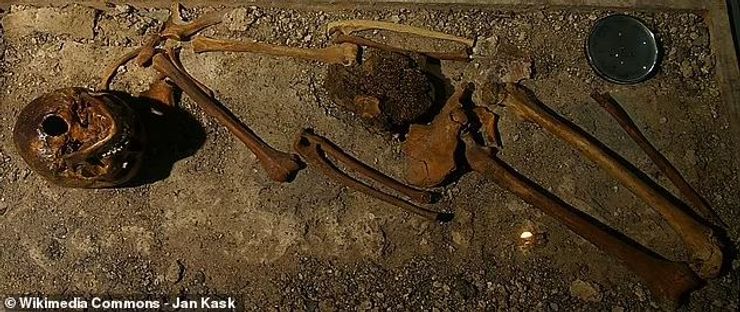 жертвоприношение, исследования, останки, древние люди, погребение