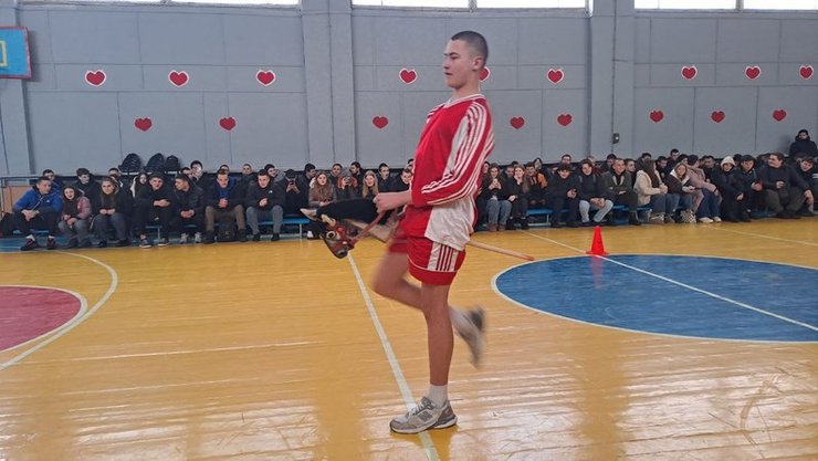 змагання з хобіхорсингу, хобіхорсинг, спорт хобіхорсинг, хобіхорсинг змагання