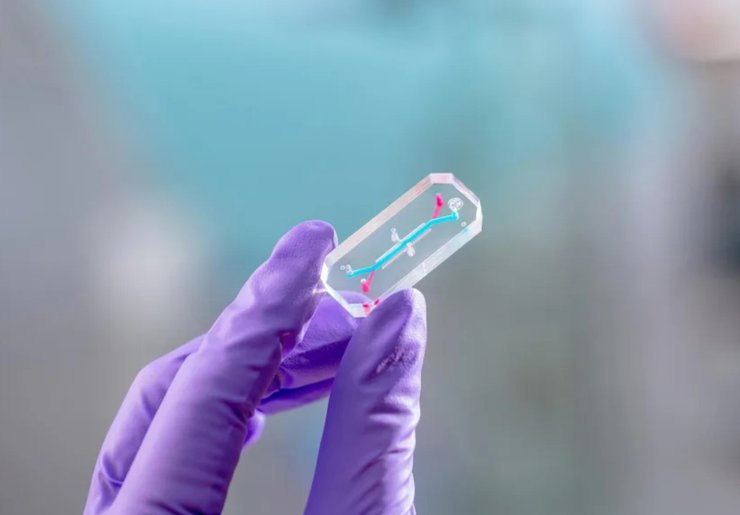 орган на чипе Артемида 2