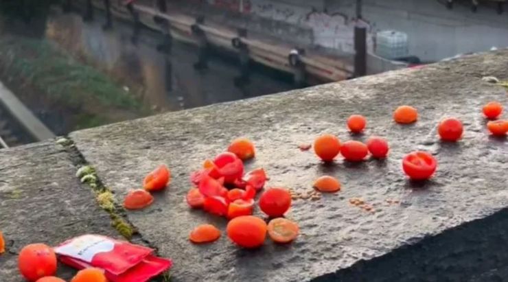 На мосту в Ирлании появились помидоры, люди озадачены, курьезы, интересные истории, приколы