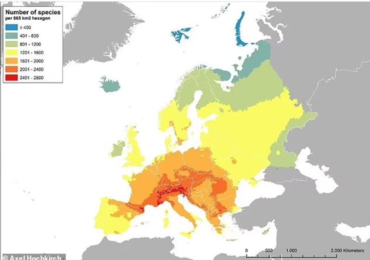 Європа біорізноманіття
