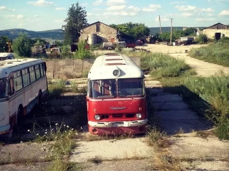Ikarus 55 Lux, Ikarus 55, автобус Ikarus, Ікарус 55, автобус Ікарус