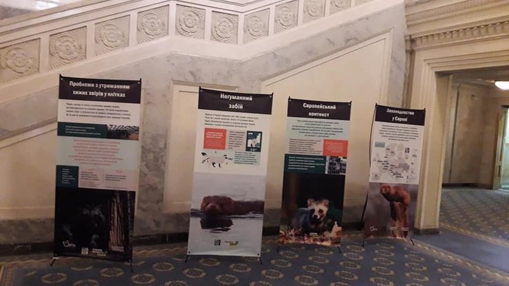 зоозащитники