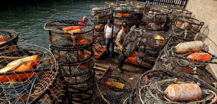 пастки для крабів, мережі для крабів