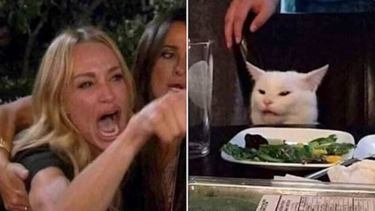 История о меме, мем женщина, которая кричит на кота за столом, женщина и кот мем