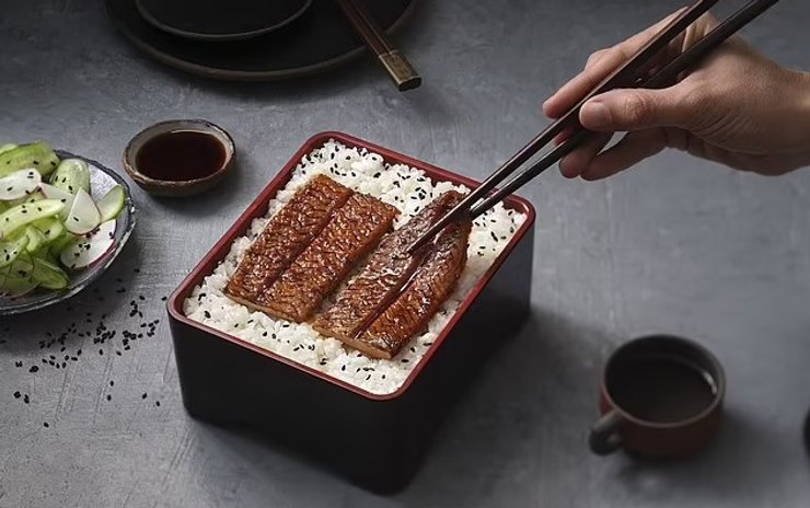 лаборатория угорь япония