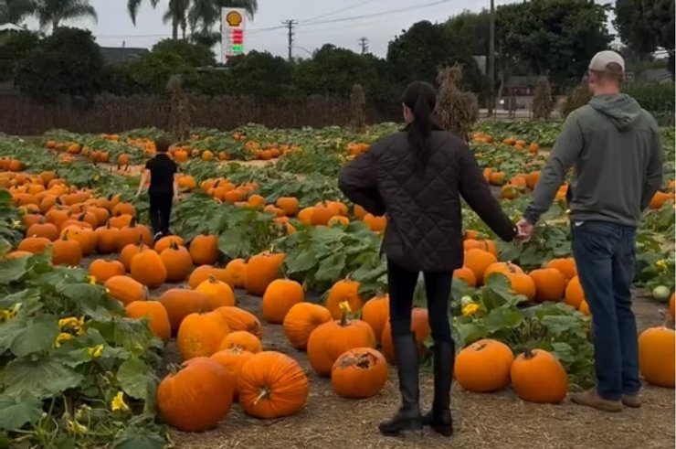 Гаррі та Меган на гарбузовій грядці Гаррі та Меган на гарбузовій грядці