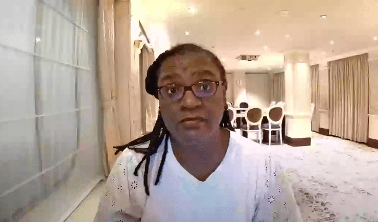 Круизный лайнер, женщина продала дом, женщина живет на круизном лайнере, путешествия по морю, круиз, продала имущество, судно, корабль