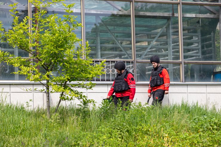 розмінування, розмінування київ, розмінування ботсад