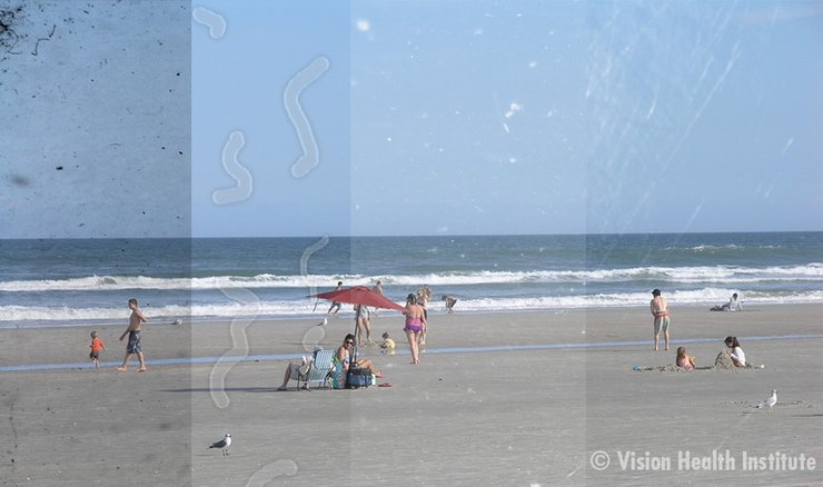 мушки, пляж, люди, знімок