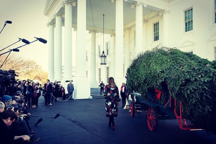 мелания трамп, белый дом,елка