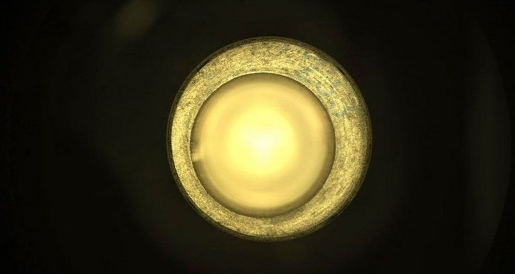 Фотография внутренней части трубы, где должен был быть образец грнута. Но там пусто.