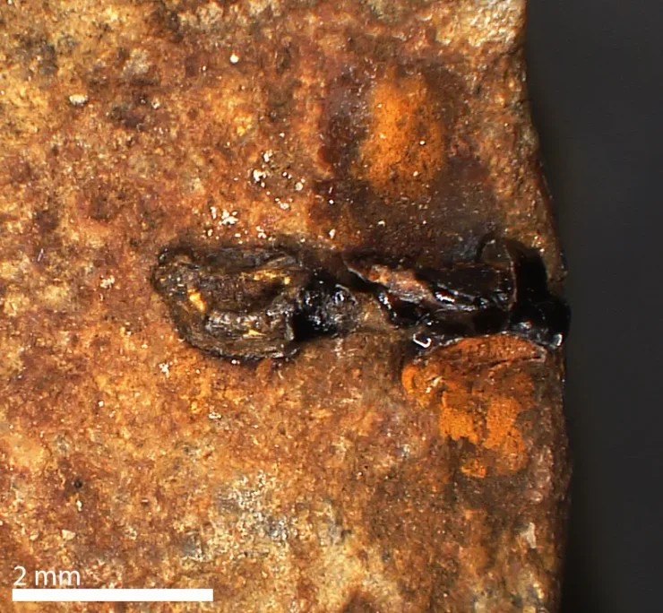 Неандертальское орудие труда, древнее открытие клея, неандертальцы, каменные орудия, смесь битума и охры, Homo sapiens, сложные клеи, археологические открытия