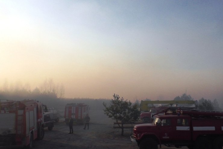 Черниговщина, лес, пожар