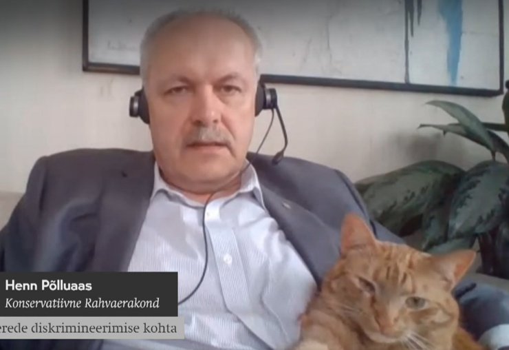 Эстония, Хенн Пыллуаас, кот, курьез,