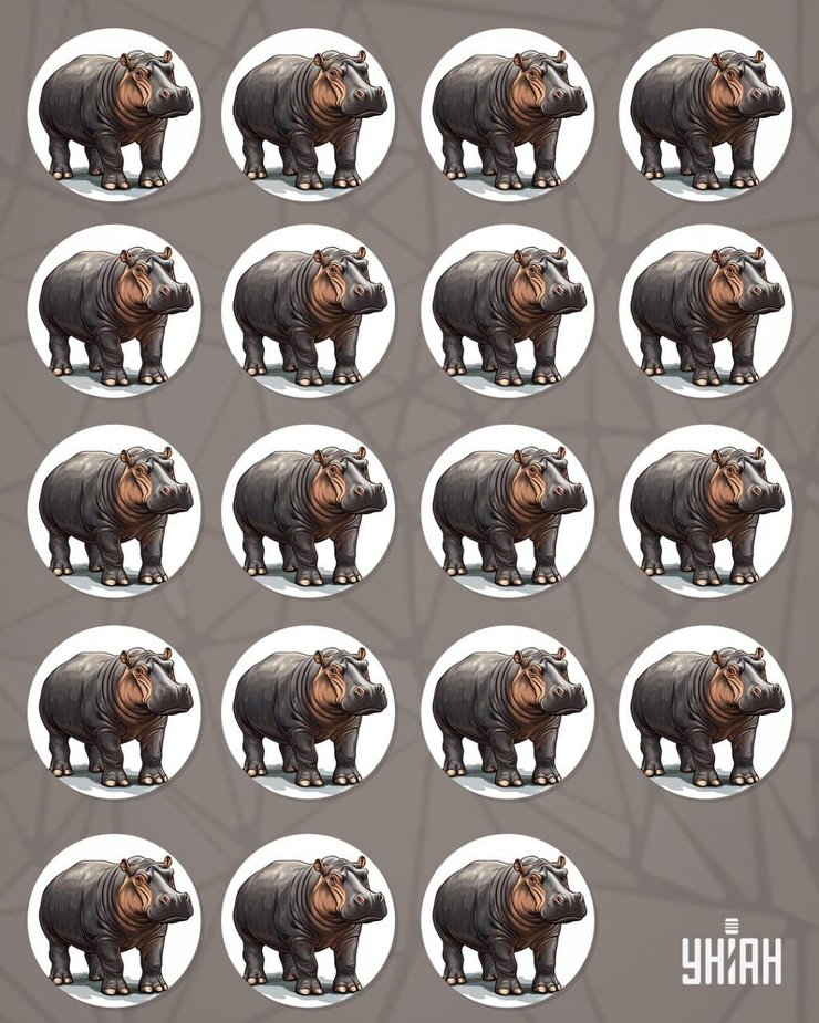 загадка з бегемотами