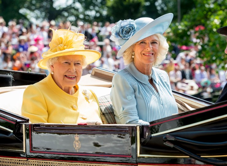 Королева Елизавета часто появлялась на публике в сине-желтых образах