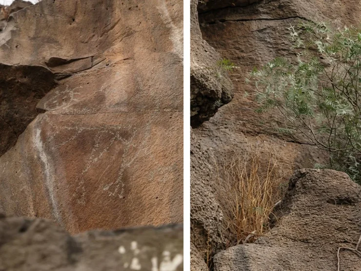 Самым старым рисункам более 4000 лет